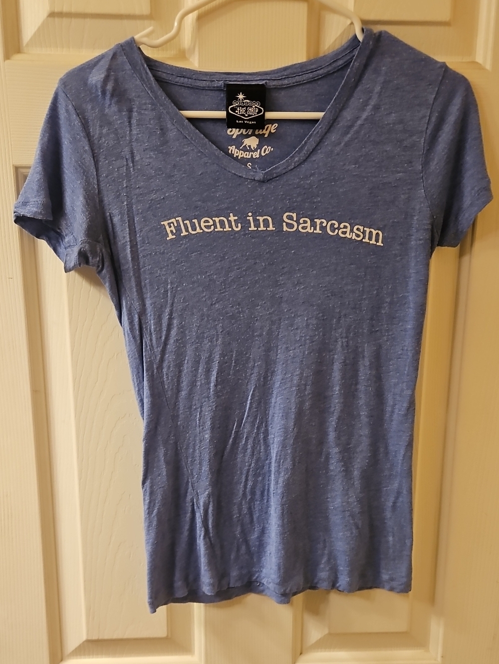 Fluent in Sarcasm Blue V-Neck Tee by